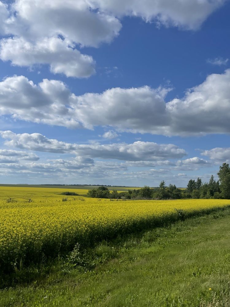 Photograph by Ирина Барышева