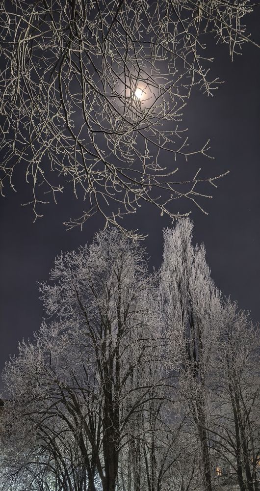 Photograph by Екатерина Пузенко