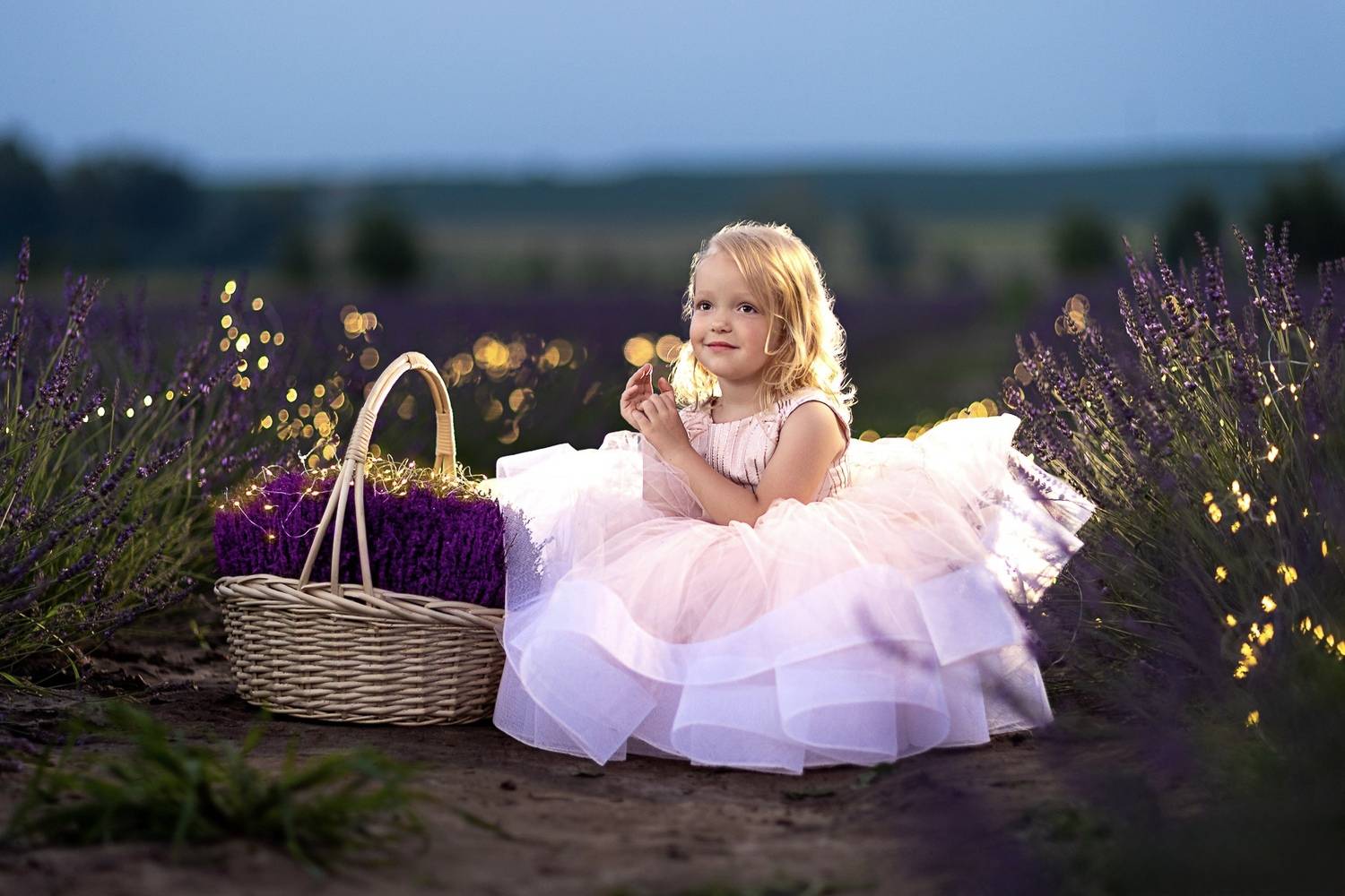 Photo #13280475