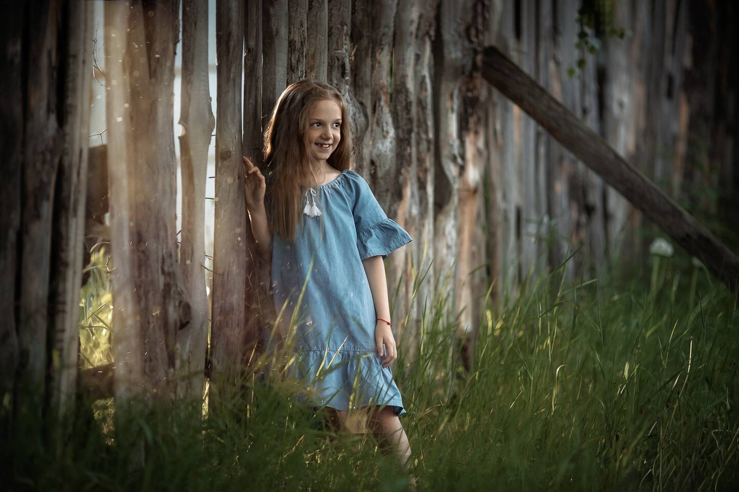 Photo #13280488