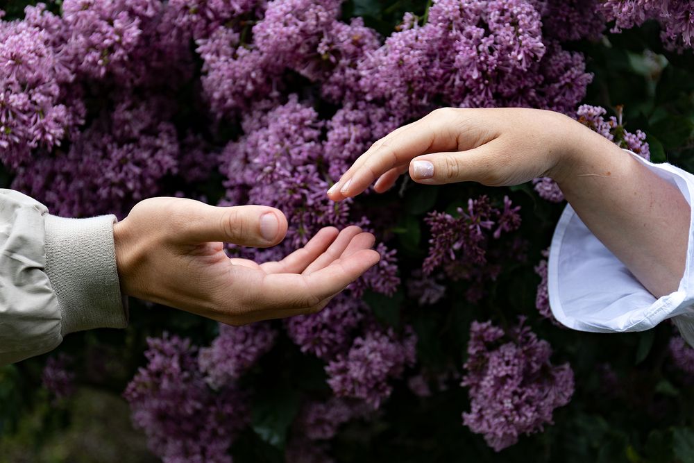 Photograph by Елизавета Венкова