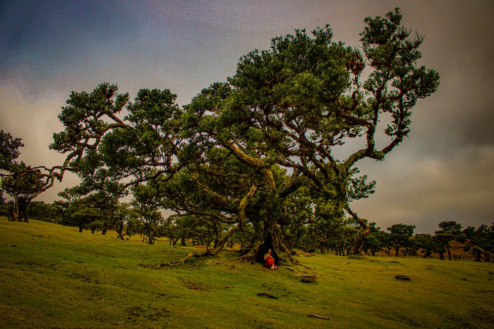 Photograph by Luís Miguel Camacho Silva