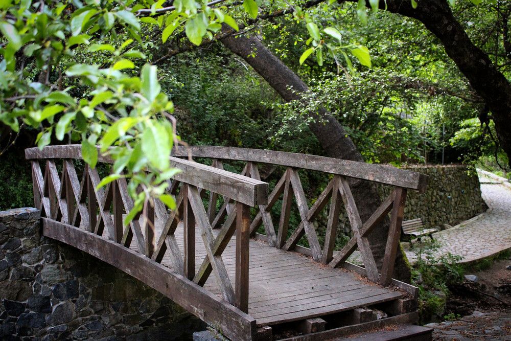 Wooden bridge