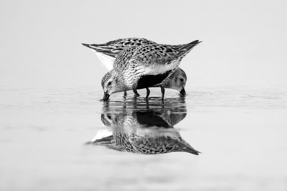Photograph by Елена Бобаченко