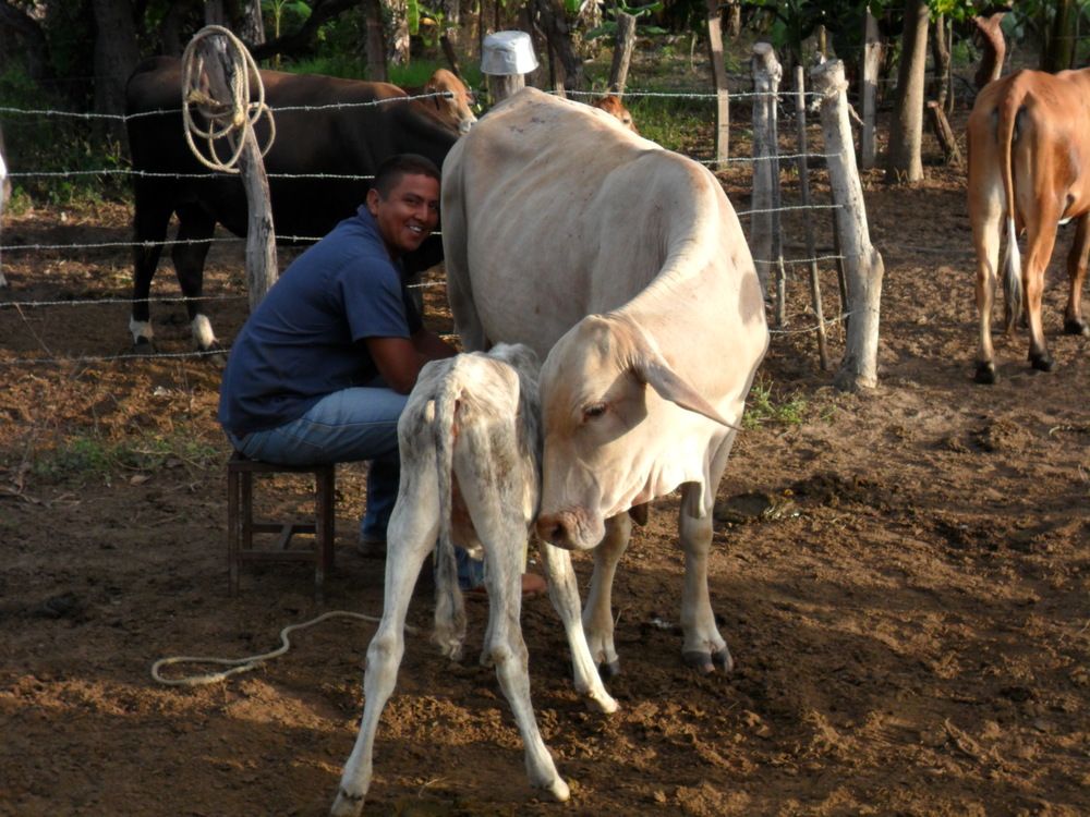 Photograph by Marzio Fattorini