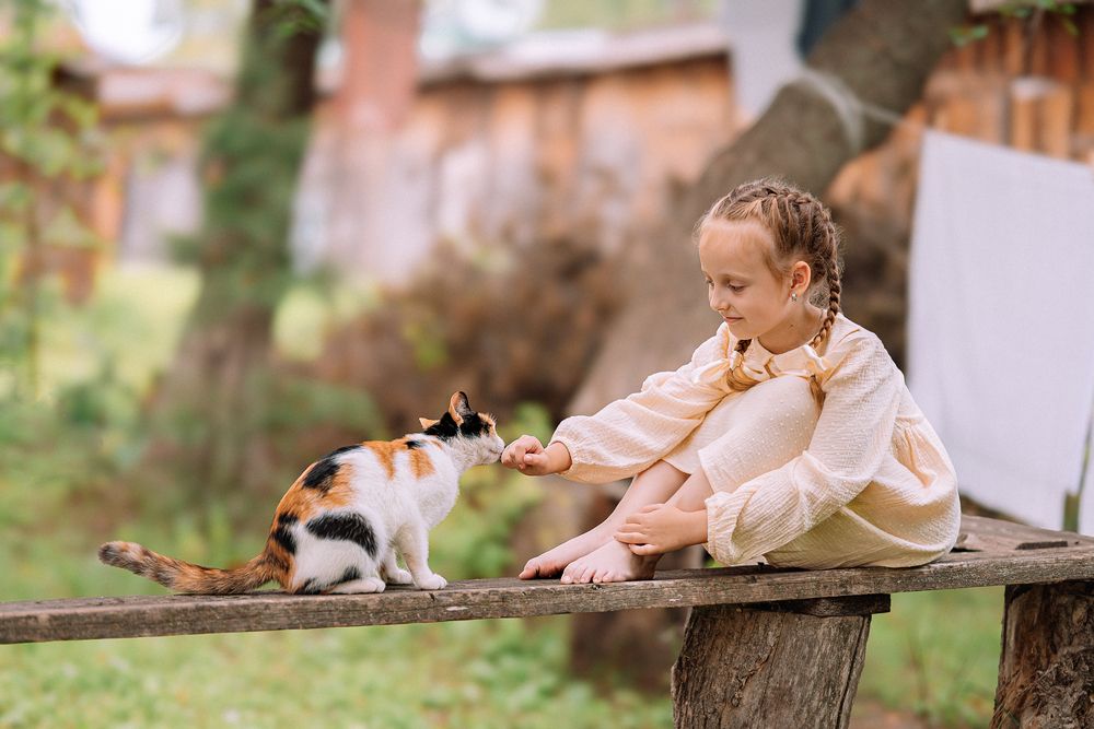 Photograph by Екатерина Александровна Тырышкина