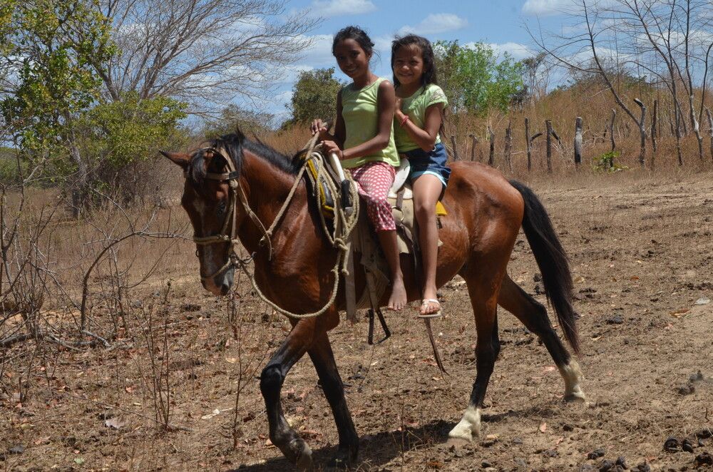 Photograph by Marzio Fattorini