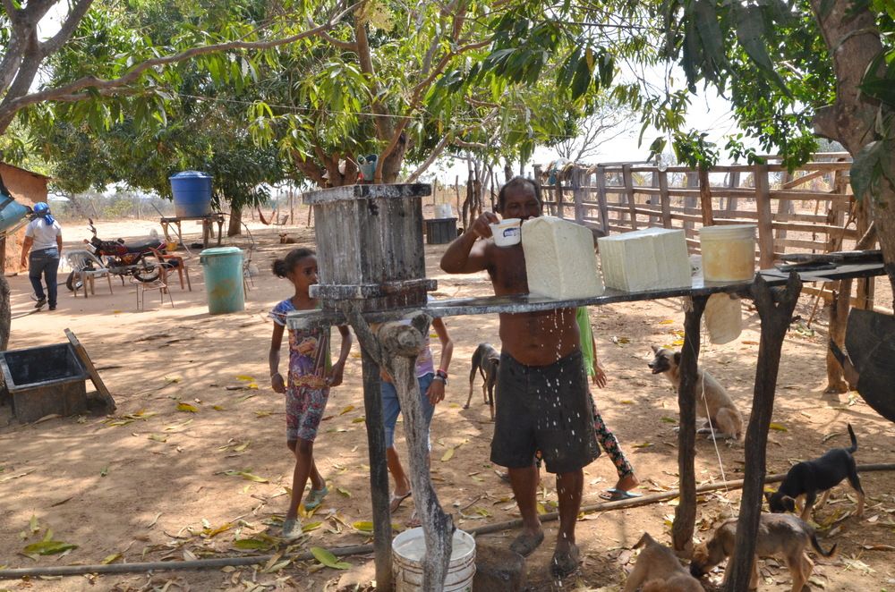 Photograph by Marzio Fattorini