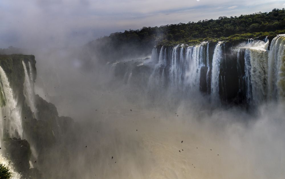 Фотография автора Joaquin Silva