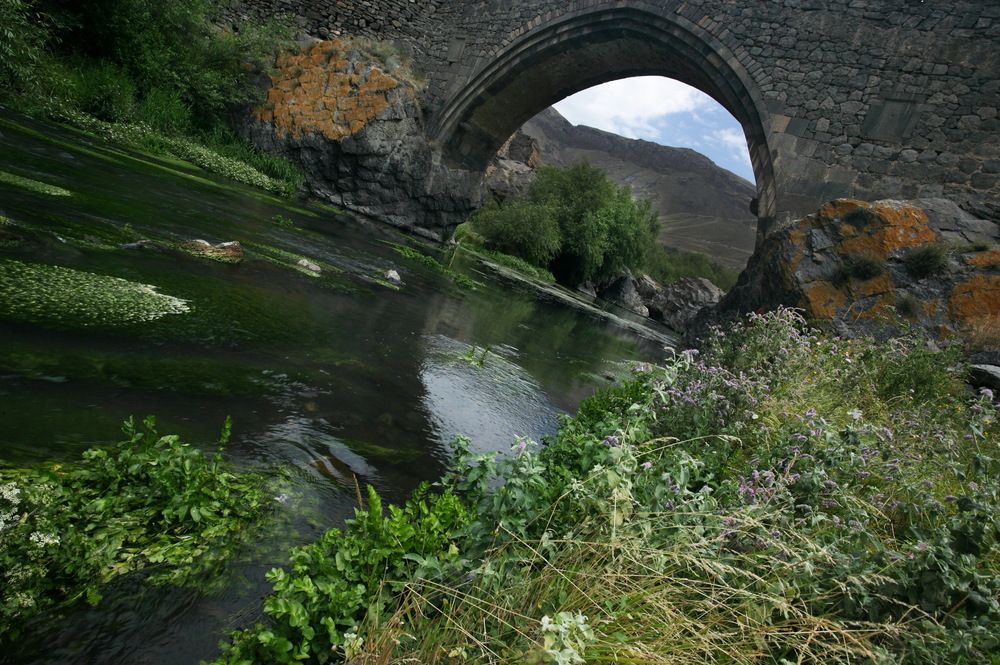 Photograph by Михаил Дронов