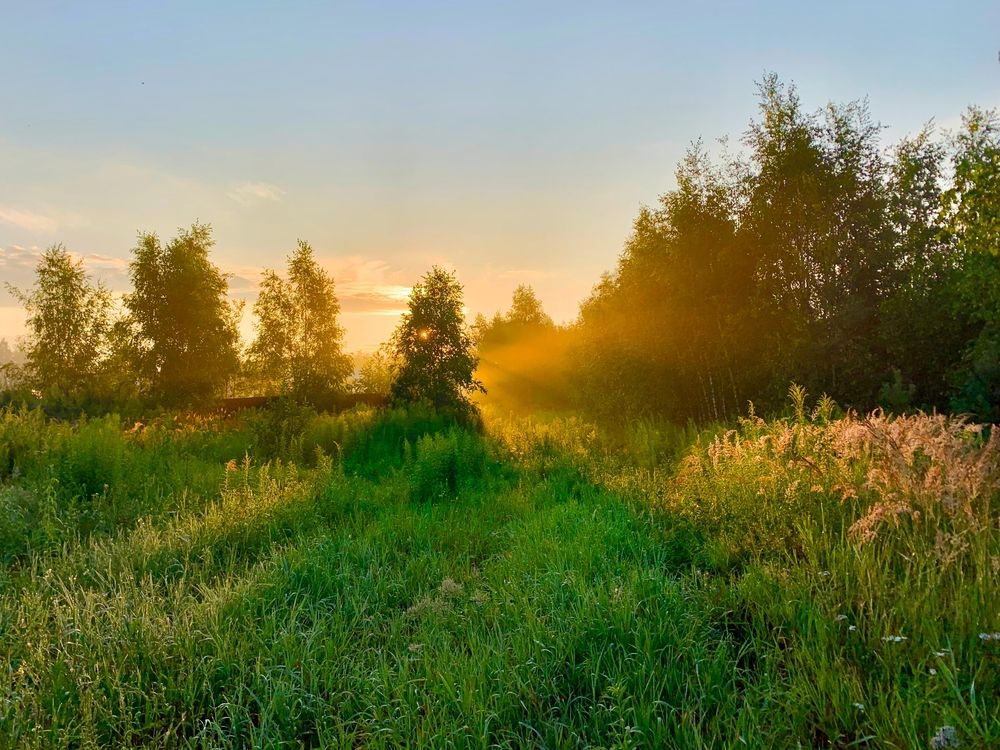 Photograph by Ионова Татьяна