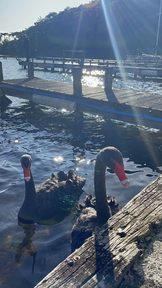 Photograph by Елена