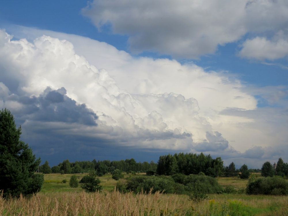 Photograph by Елена Кузина