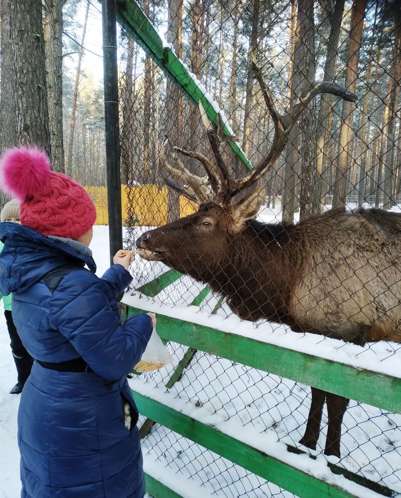 Photograph by Татьяна Гульпа