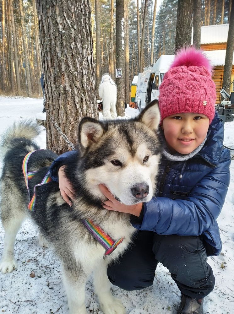 Photograph by Татьяна Гульпа