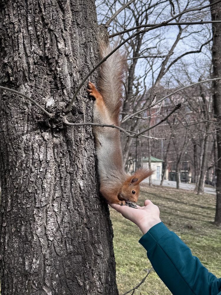 Photograph by Татьяна Семёнова