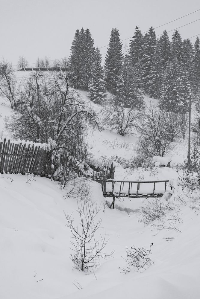 Фотография автора Валерия Владимировна