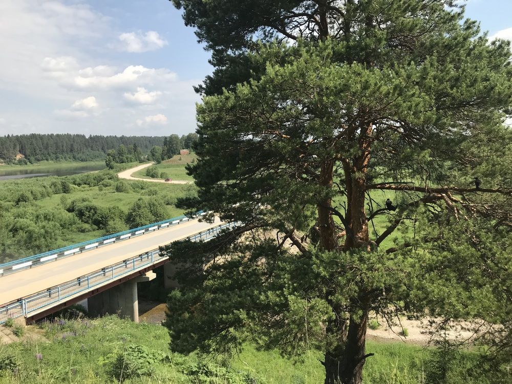 Photograph by Ольга