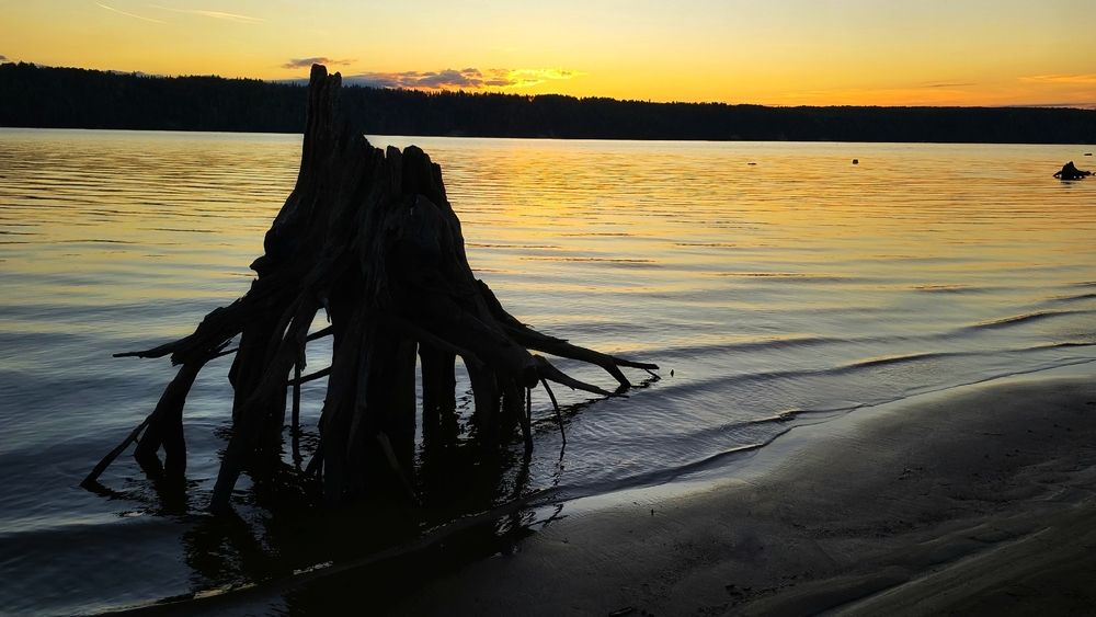 Photograph by Елена Дарьенко