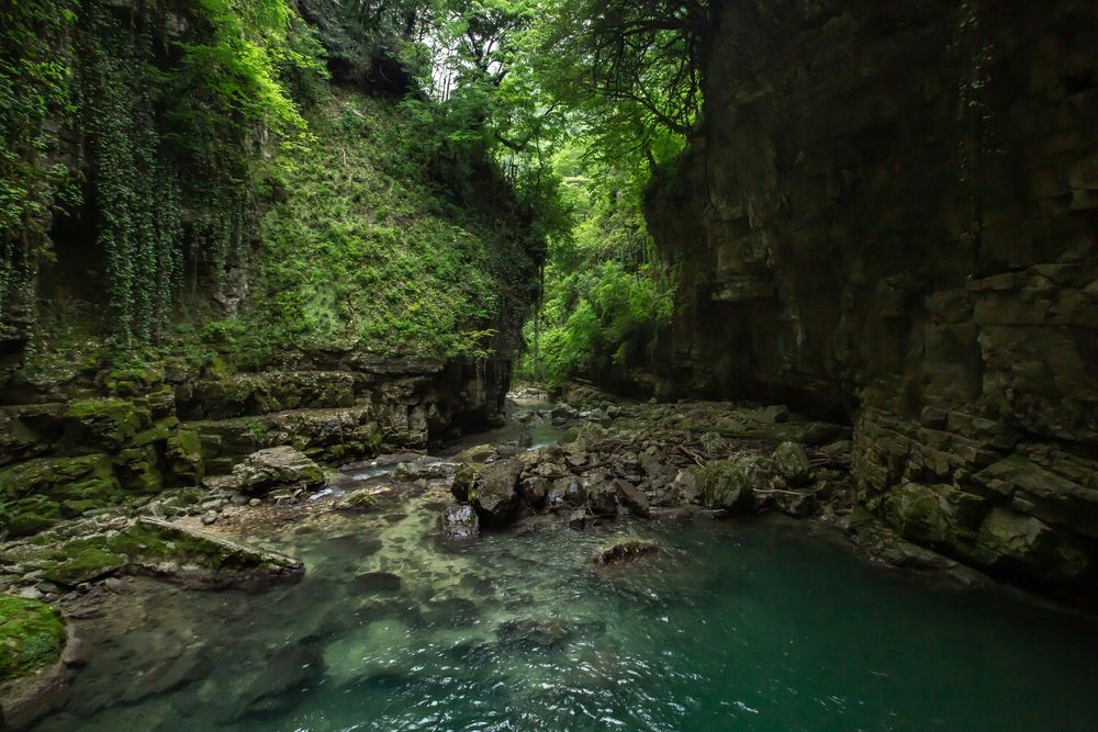 Photograph by Виталий Новиков