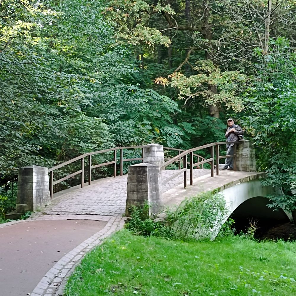 Photograph by Людмила Жданова