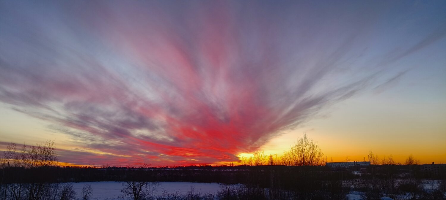 Photo #13281221