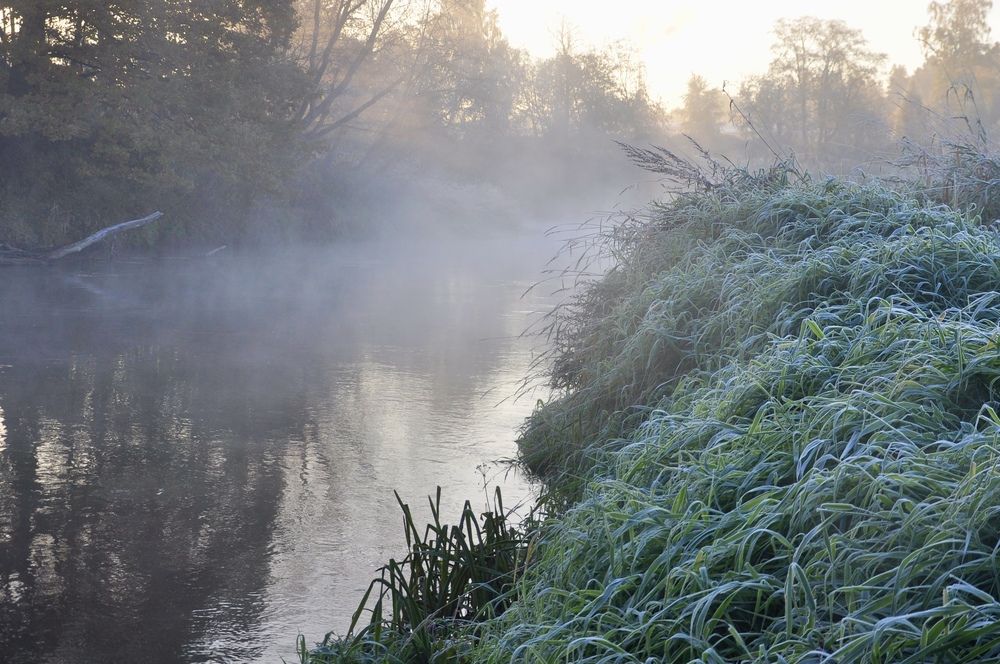Утро на реке.
