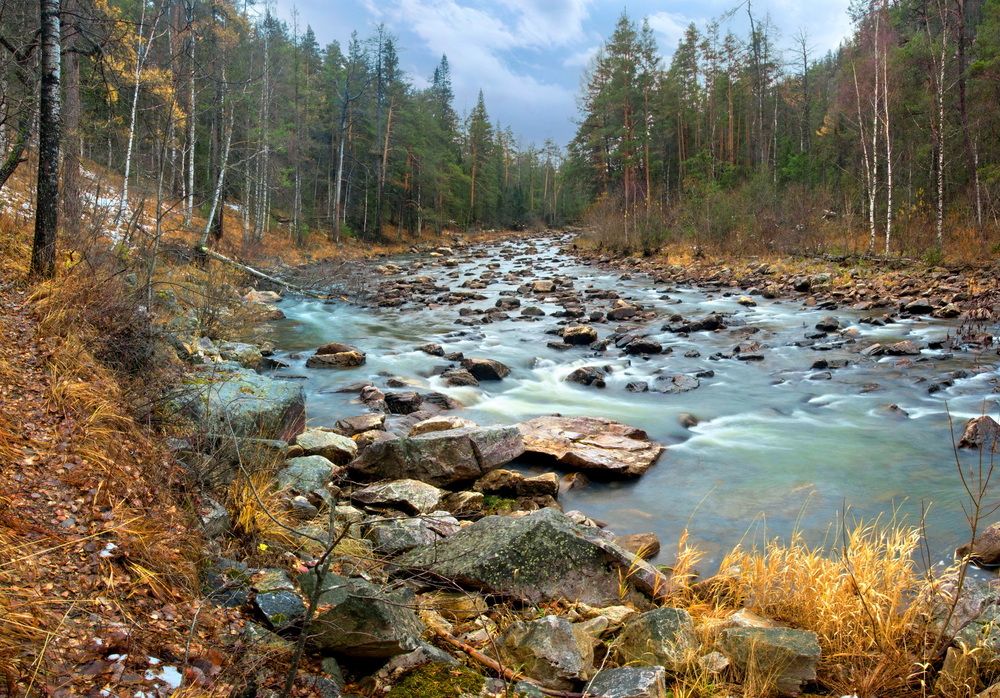 Photograph by Владимир Акиньшин