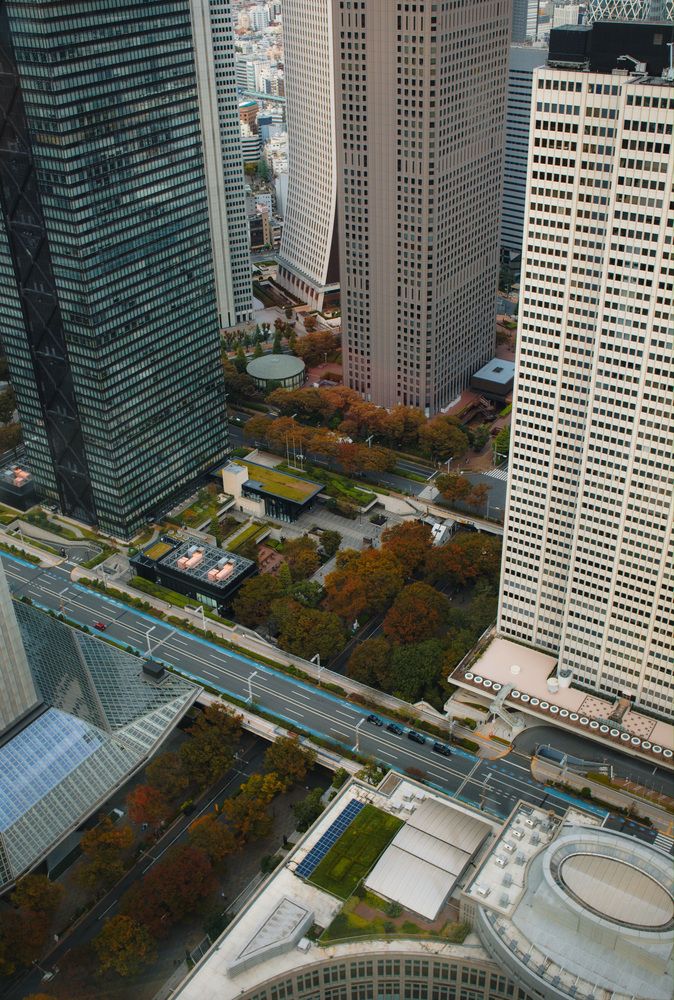 Tokyo City Hall