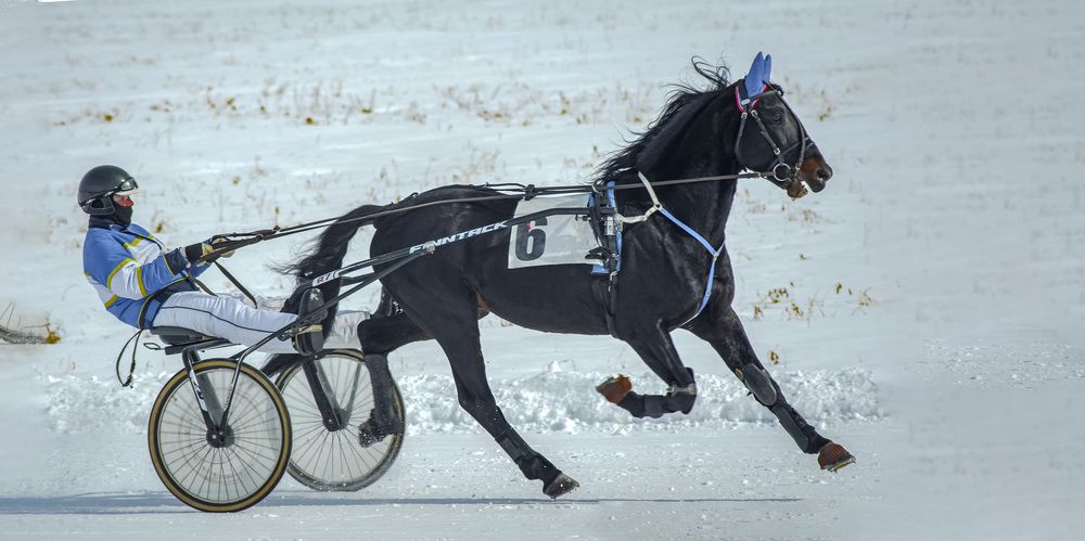 Photograph by Юрий Кухаришин
