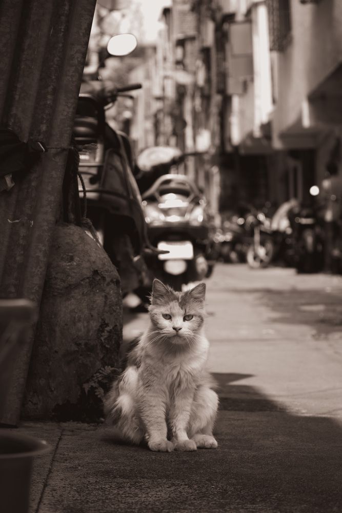 Photograph by Алиса Дресвянникова