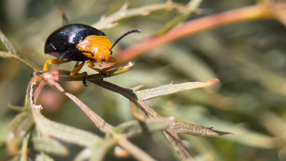 Фотография автора Ben Gorman