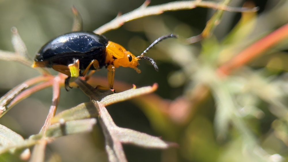 Фотография автора Ben Gorman