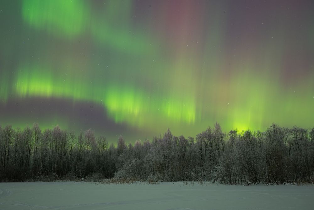 Photograph by Валентина Ивашова
