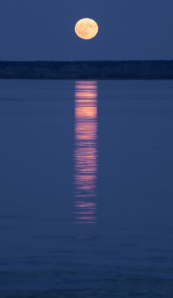 Photograph by Валентина Ивашова