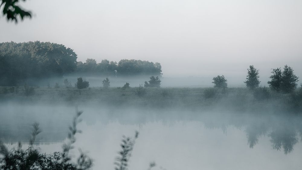 Photograph by Elena Chilikina