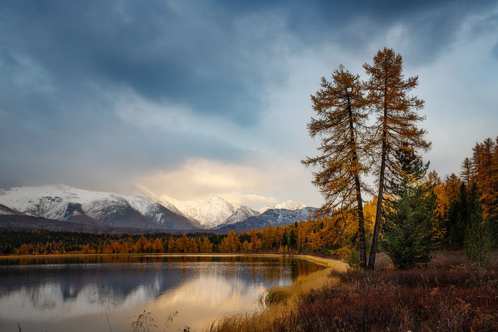Фотография автора Станислав Аристов