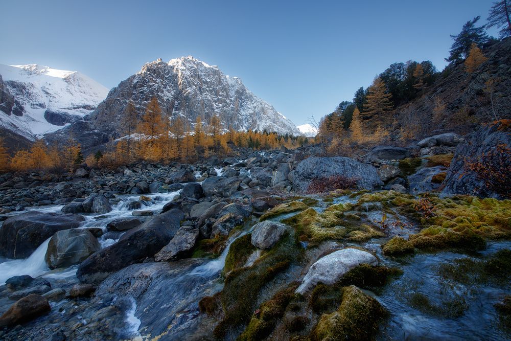 Фотография автора Станислав Аристов