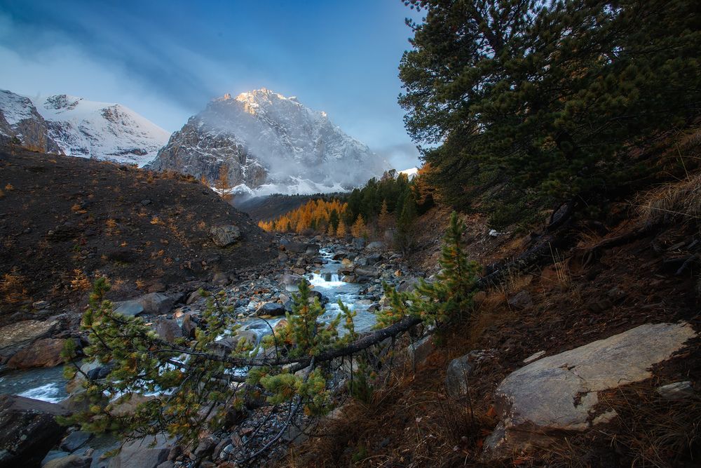 Фотография автора Станислав Аристов