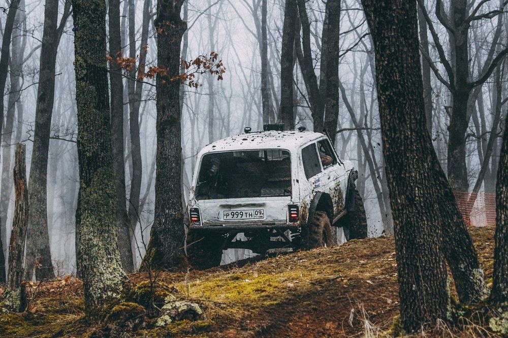 Photograph by Анастасия Лидяева