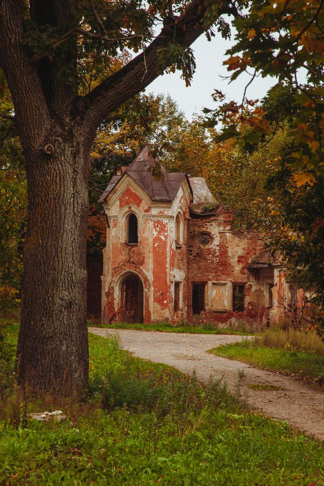 Photograph by Alex Orlov