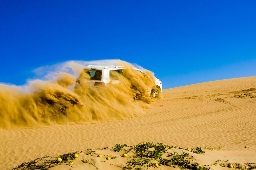 Photograph by Владимир Говоров