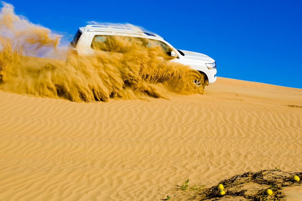 Photograph by Владимир Говоров