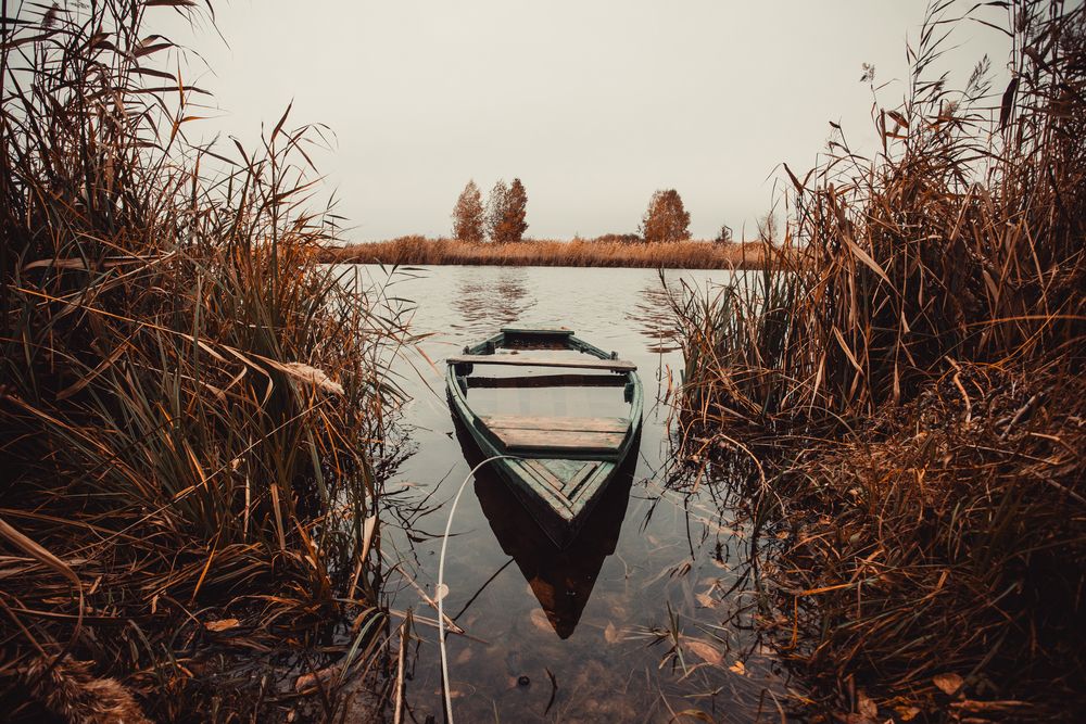 Photograph by Павел Матчугов