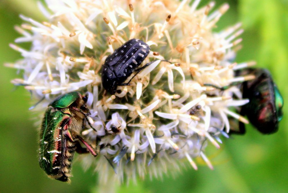 Photograph by Алексей Макаров