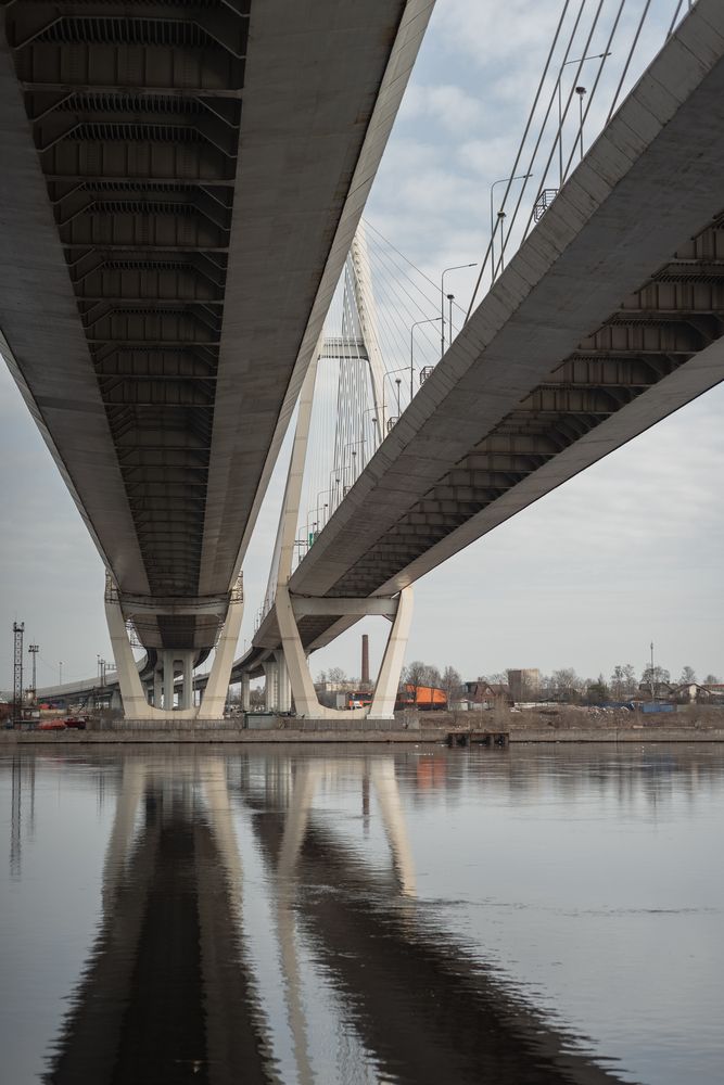 Photograph by Светлана Масютина