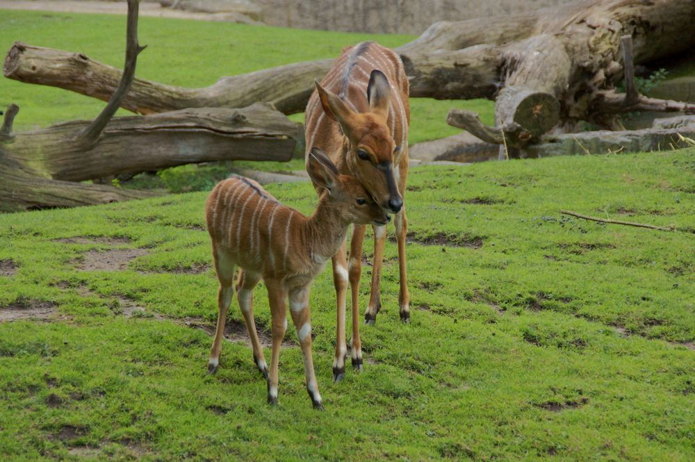 Фотография автора Sergej Roor
