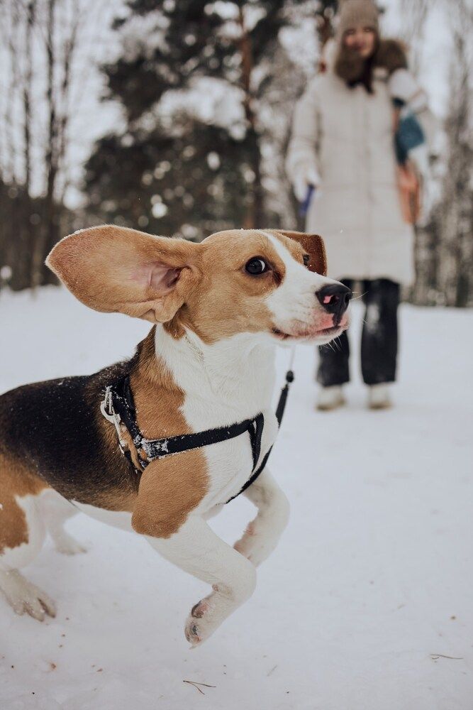 Photograph by Алёна Кириллова