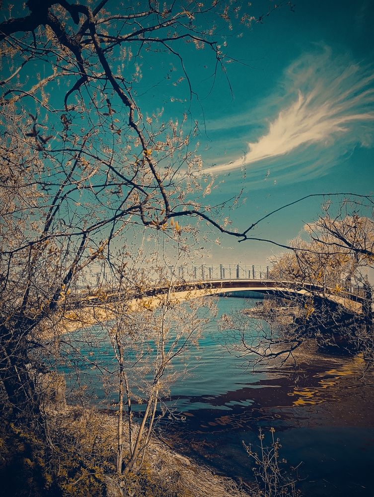 Photograph by Irina Prazdnikova