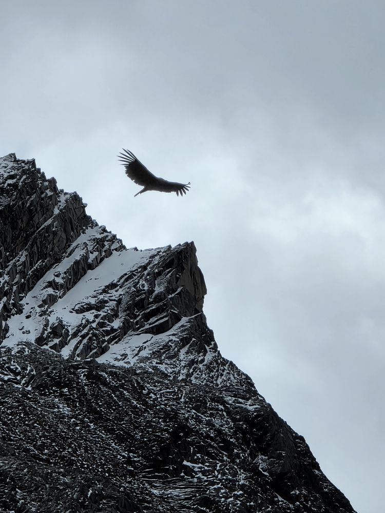 Peruvian beauty - Cordillera Blanca